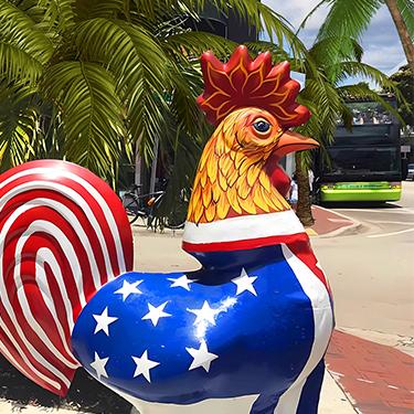 Amazing Vacation - Miami