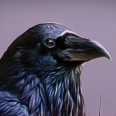 Card Games - Mystery Solitaire The Black Raven 2